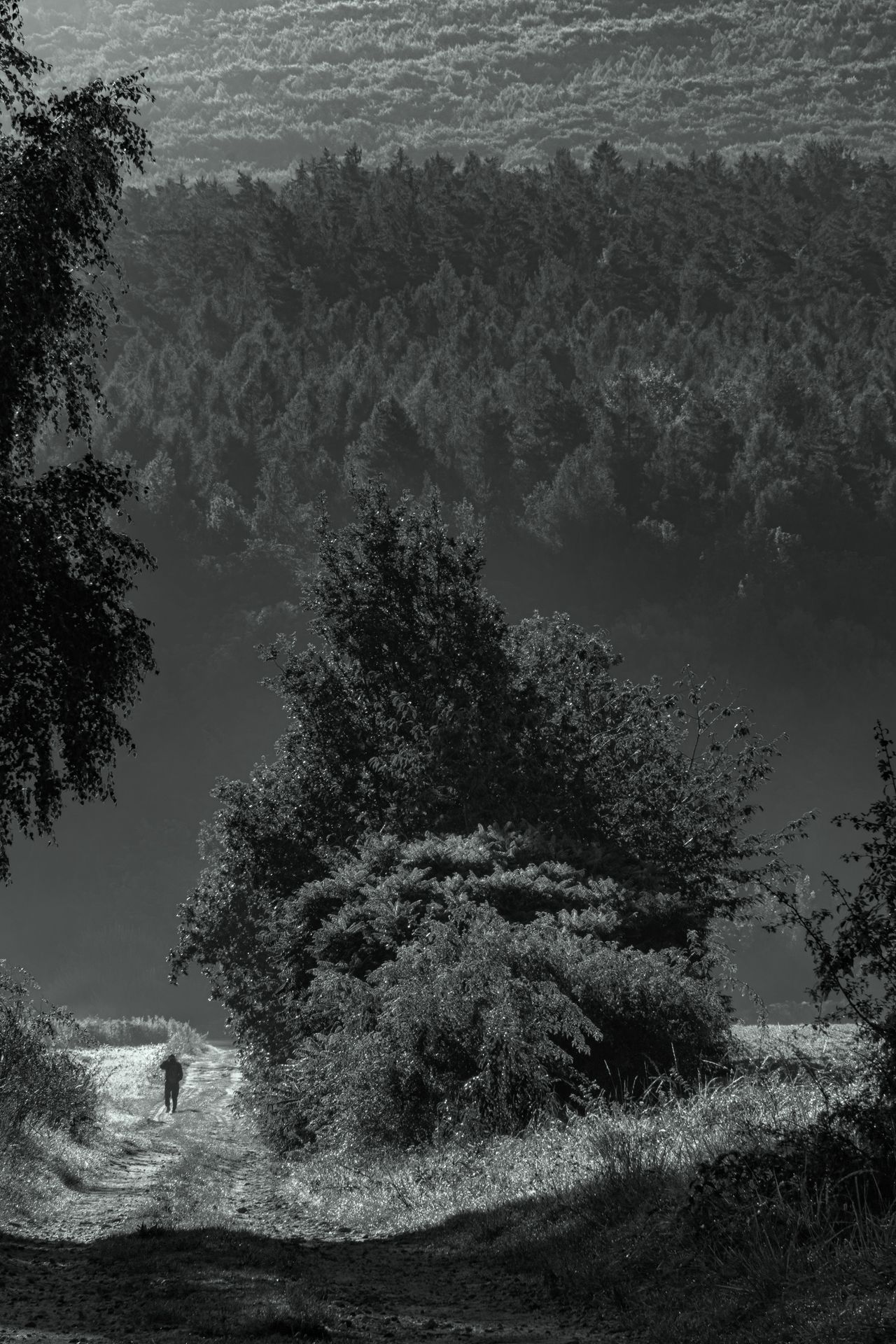 Fotografia, Góra Ślęża