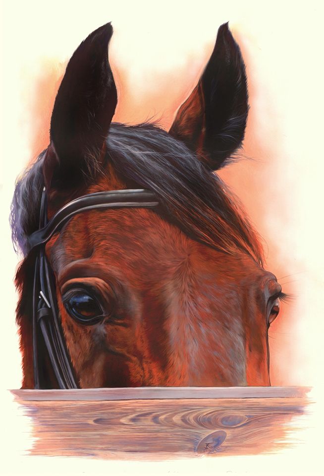 Portret konia, Ekolina, gwasz