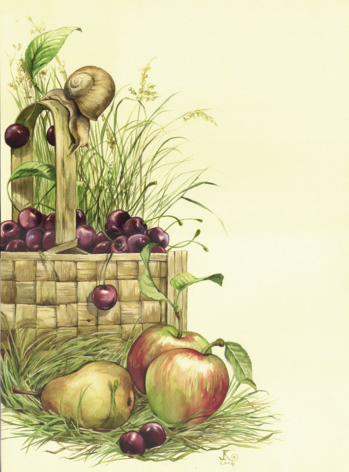 Ilustracja, Ślimak i kosz owoców, akwarela