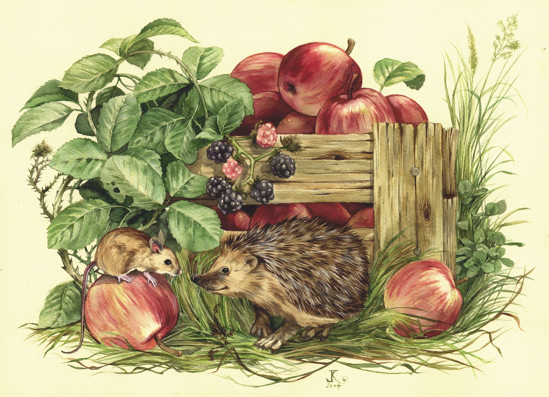 Ilustracja, Jeż i kosz jabłek, akwarela