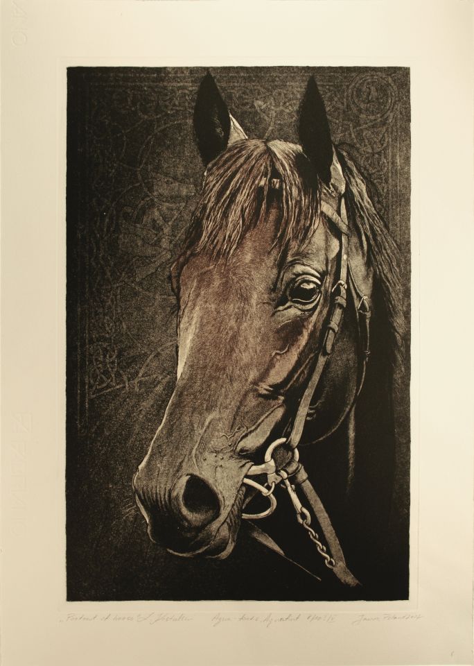 Portret konia, akwaforta/akwafinta, 2008r.